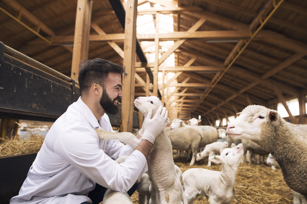 A imagem contém um aluno tendo uma aula prática que faz parte da grade de Medicina Veterinária.